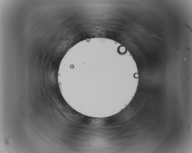 X0000103970088200809191409