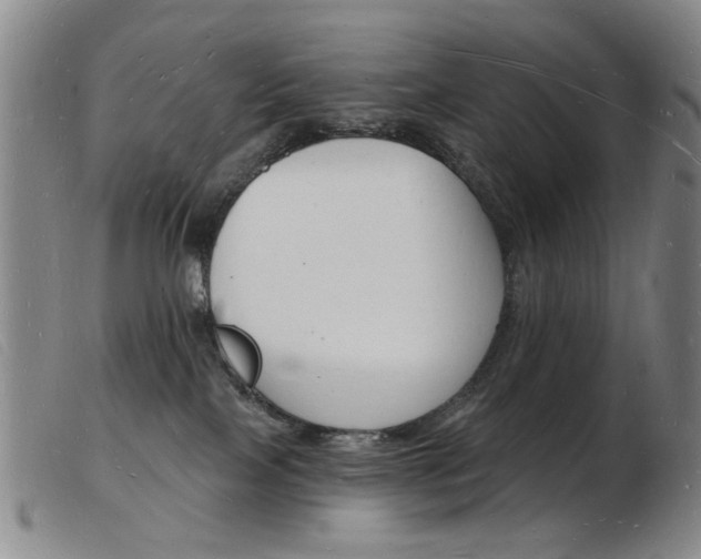 X0000103970089200809191409