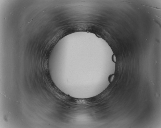 X0000103970091200809191409