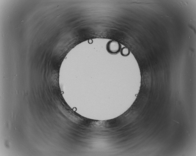 X0000103970092200809191409