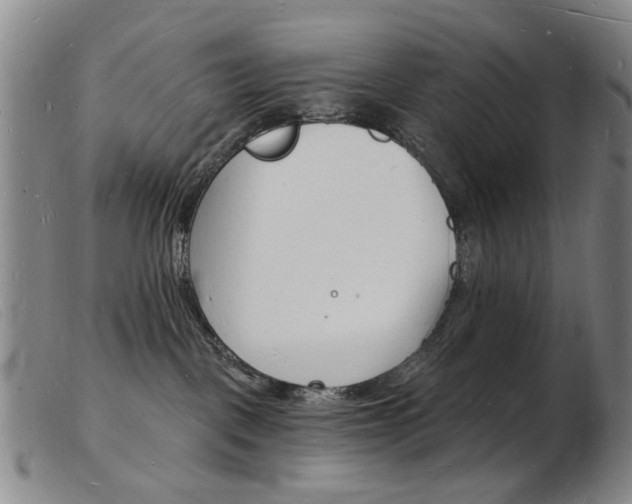 X0000103970093200809191409