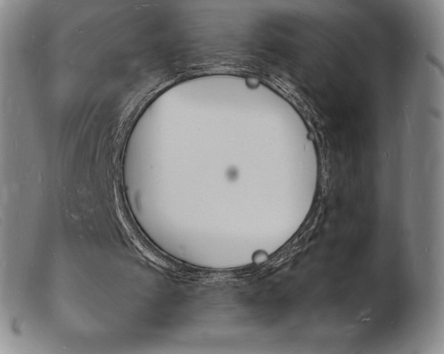 X0000103970097200809191408