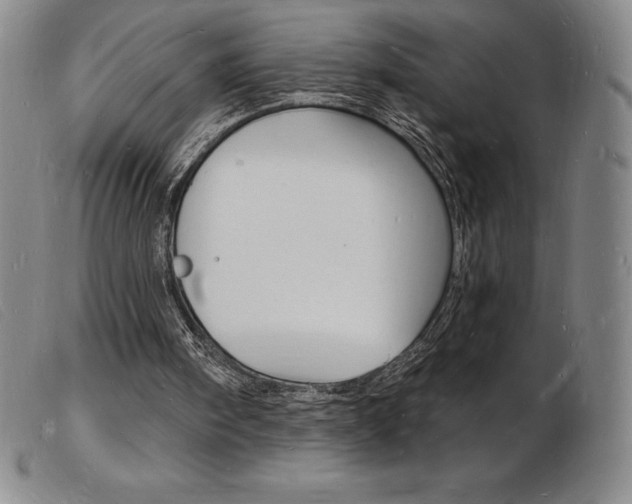 X0000103970098200809191408