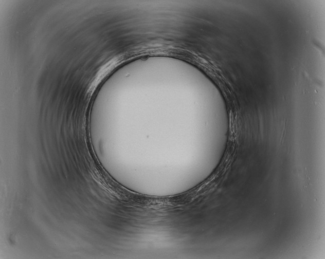 X0000103970099200809191408