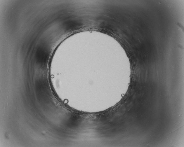 X0000103970100200809191408