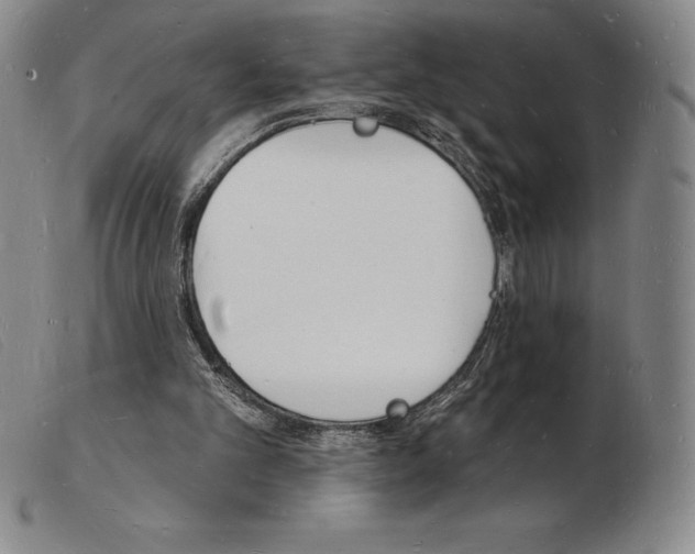 X0000103970101200809191408