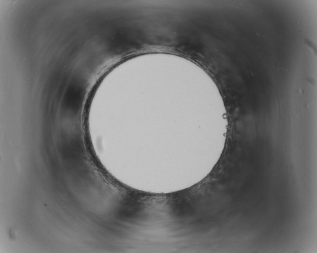 X0000103970104200809191408