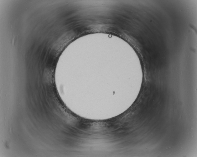 X0000103970105200809191408