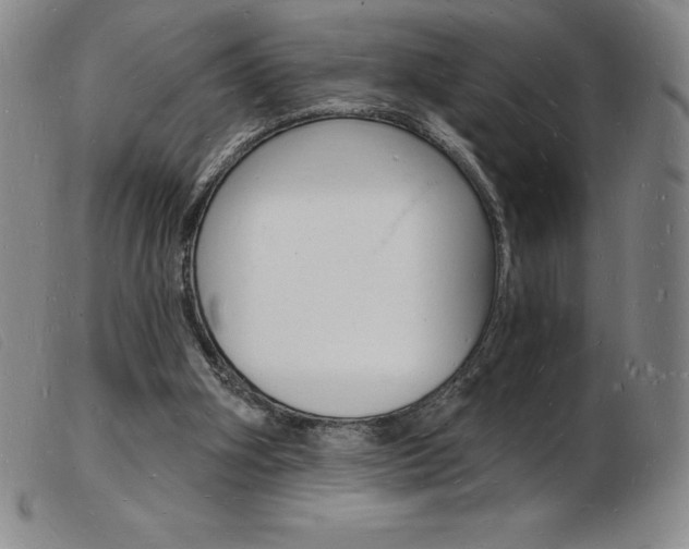 X0000103970106200809191408