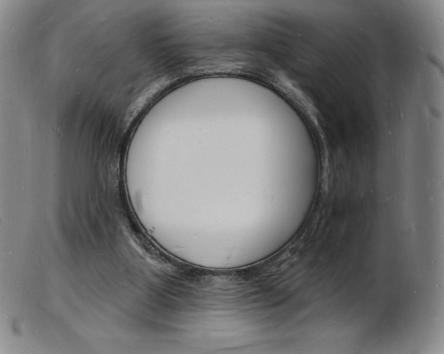 X0000103970107200809191408