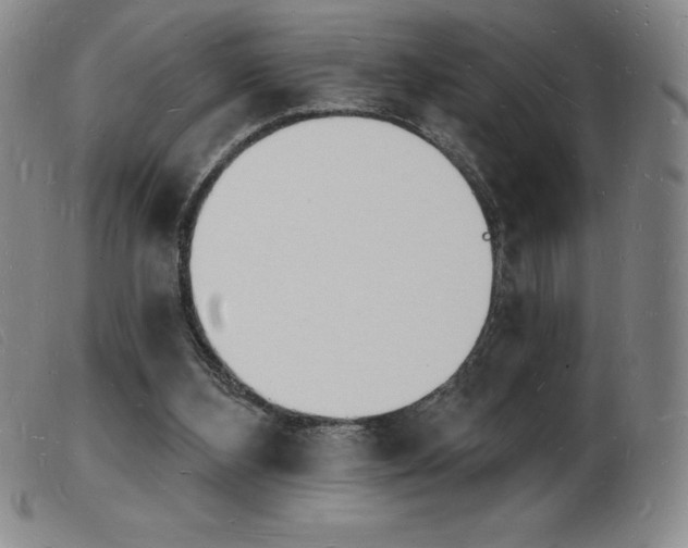 X0000103970108200809191408