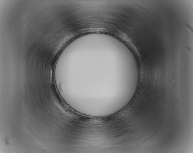 X0000103970110200809191408