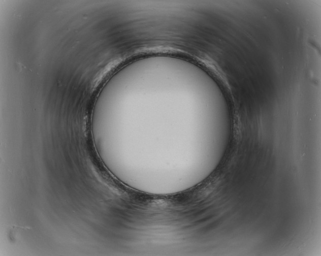 X0000103970111200809191408