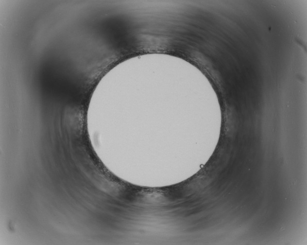 X0000103970113200809191408