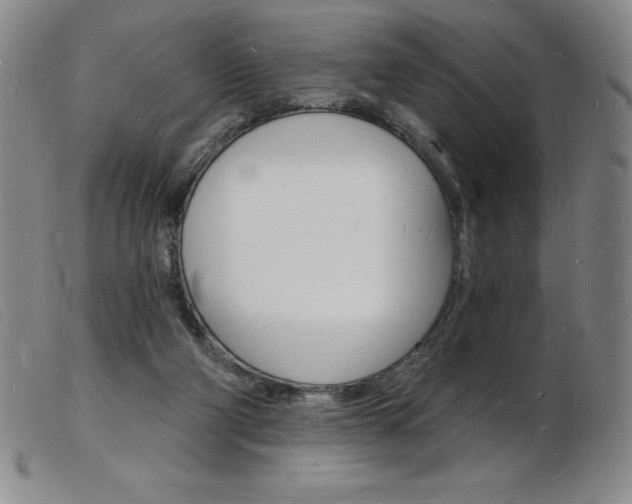 X0000103970114200809191408