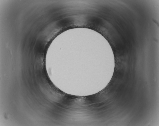 X0000103970116200809191408