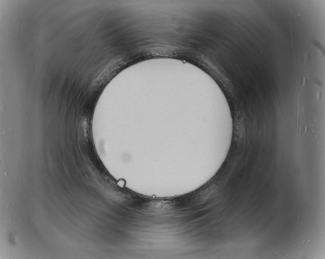 X0000103970117200809191408