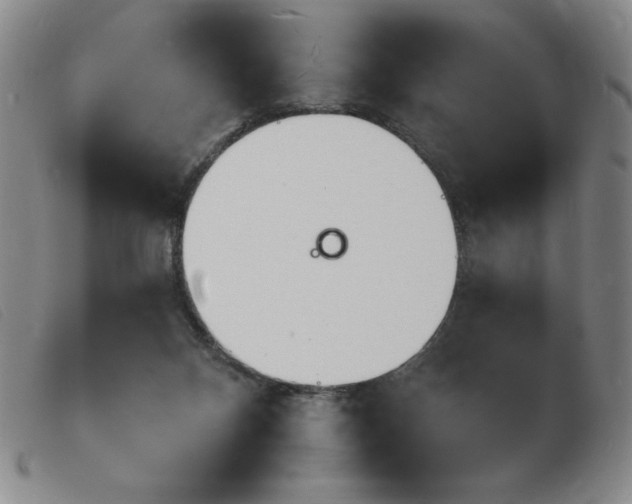 X0000103970120200809191408