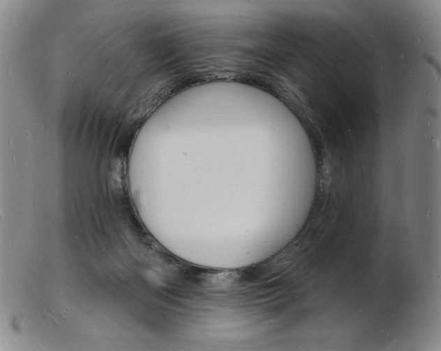 X0000103970122200809191408