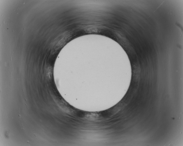 X0000103970125200809191408