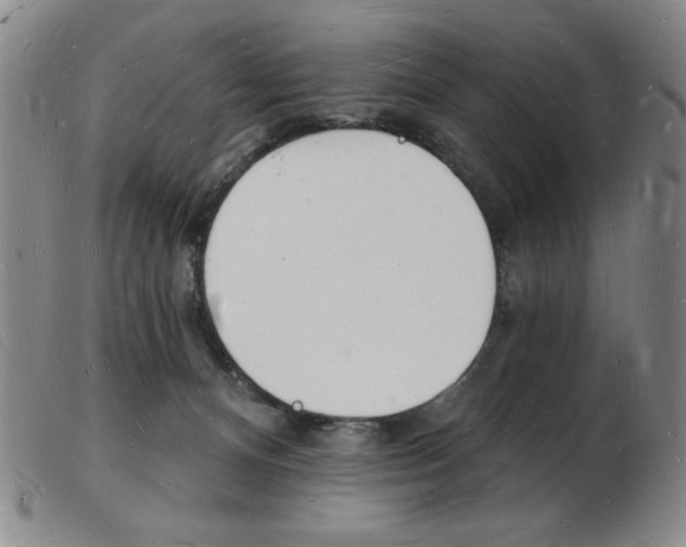 X0000103970128200809191408