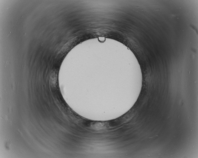 X0000103970129200809191408