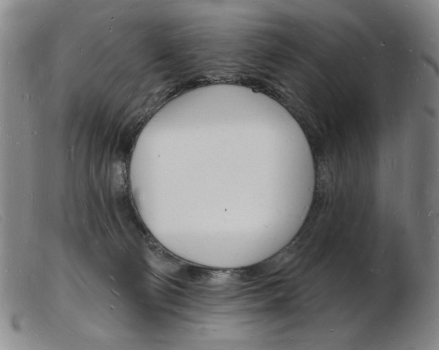 X0000103970130200809191408