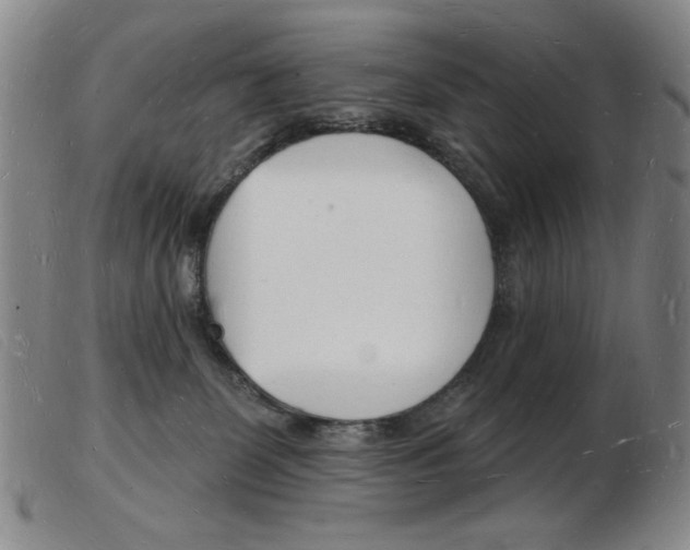 X0000103970131200809191408