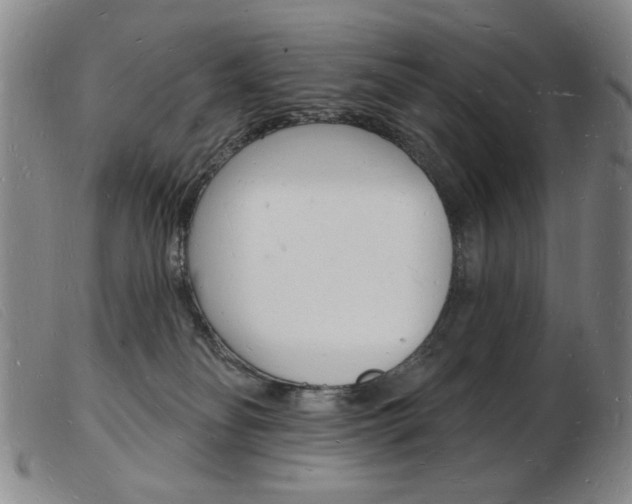 X0000103970134200809191408