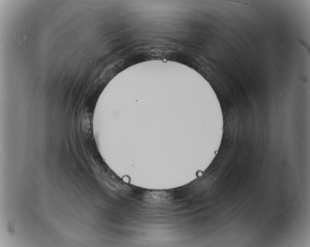 X0000103970137200809191408