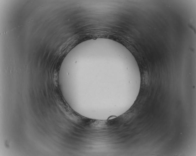 X0000103970138200809191408