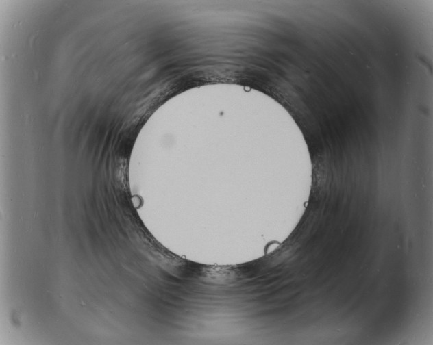 X0000103970141200809191408