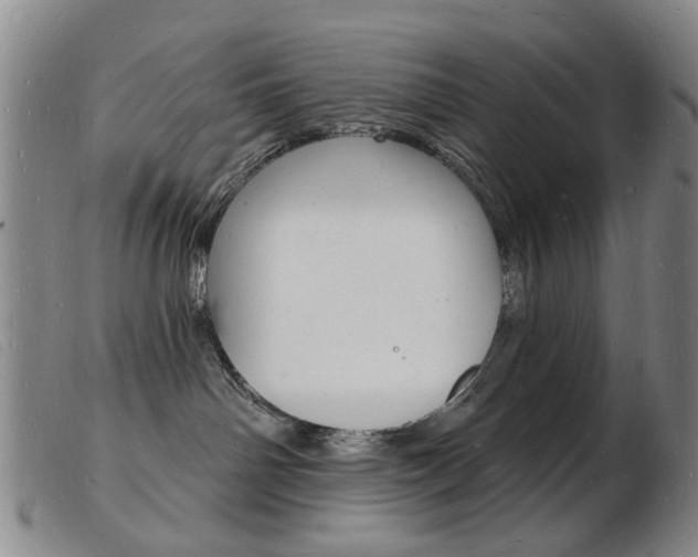 X0000103970142200809191408