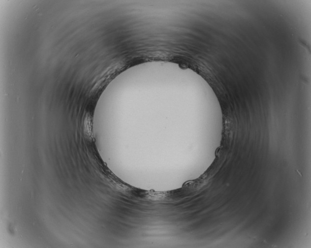 X0000103970143200809191408