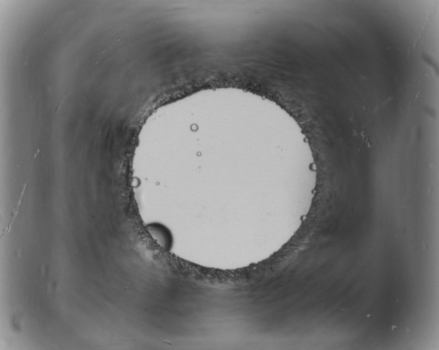 X0000103970144200809191408