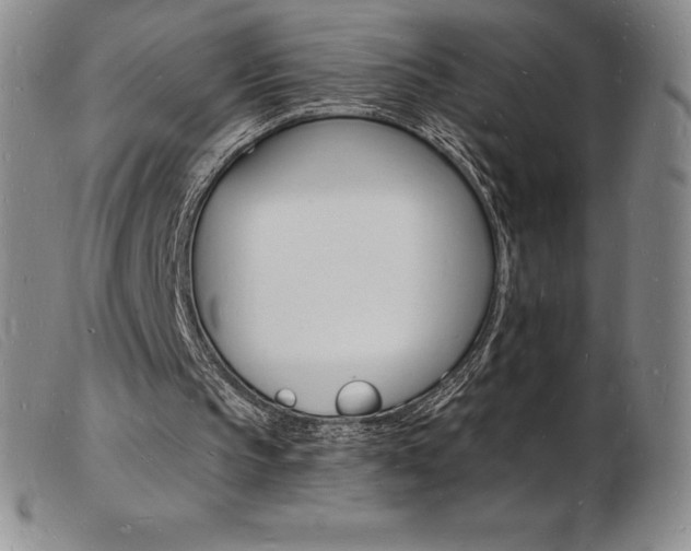 X0000103970145200809191407