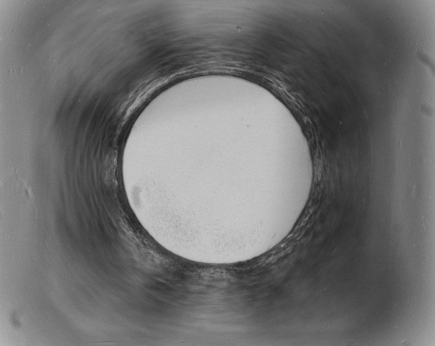 X0000103970146200809191407