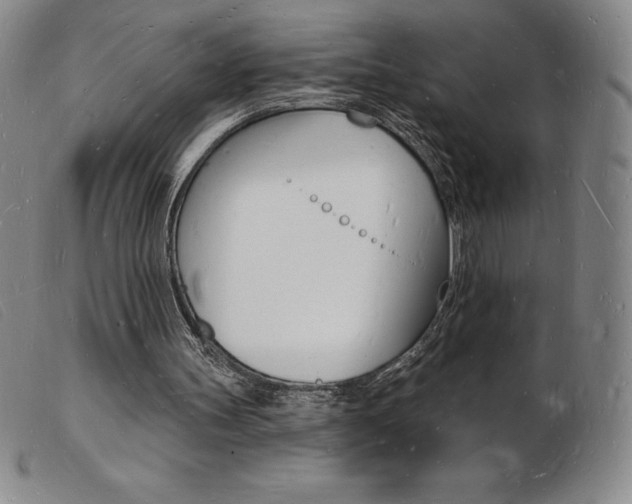 X0000103970147200809191407