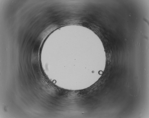 X0000103970148200809191407