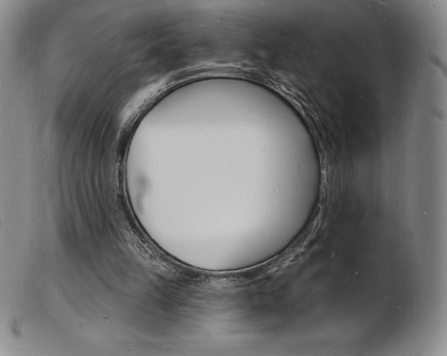 X0000103970149200809191407