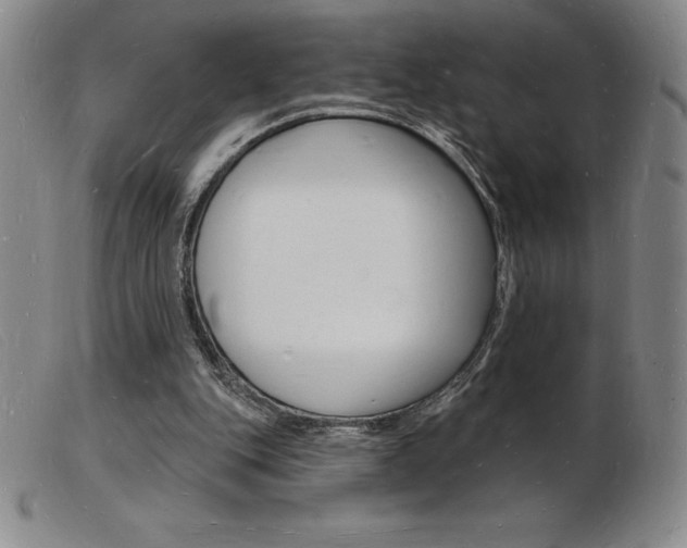 X0000103970151200809191407