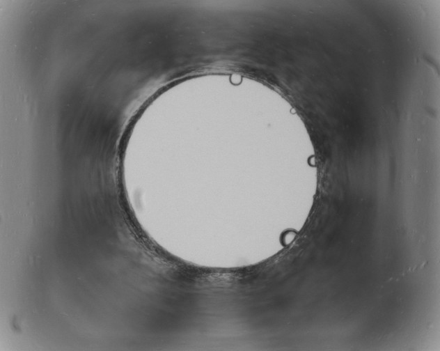 X0000103970152200809191407