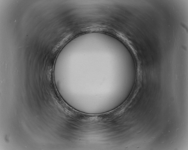 X0000103970153200809191407