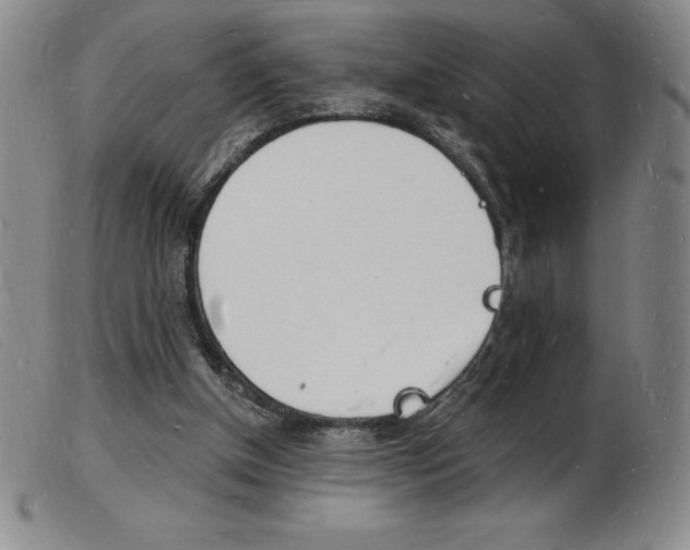 X0000103970154200809191407