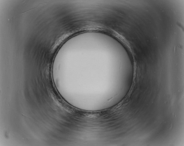 X0000103970155200809191407