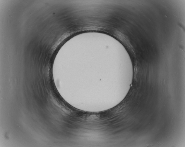 X0000103970156200809191407