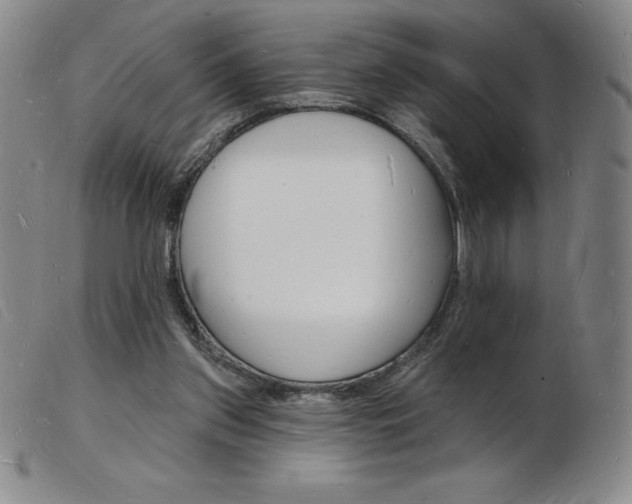 X0000103970157200809191407