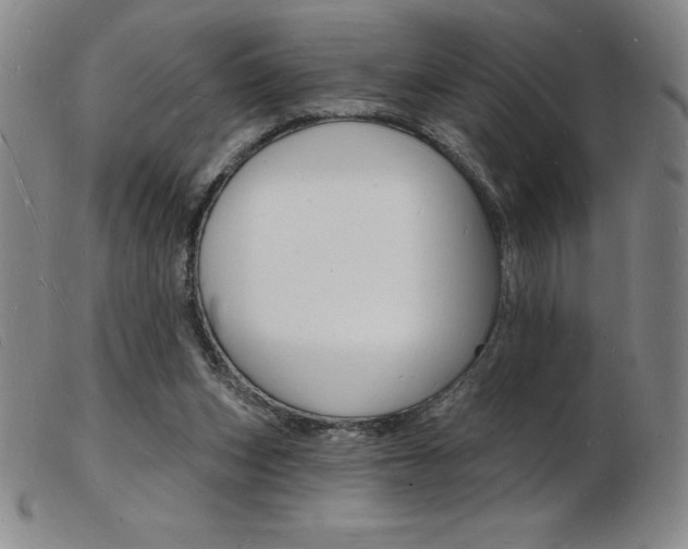 X0000103970159200809191407