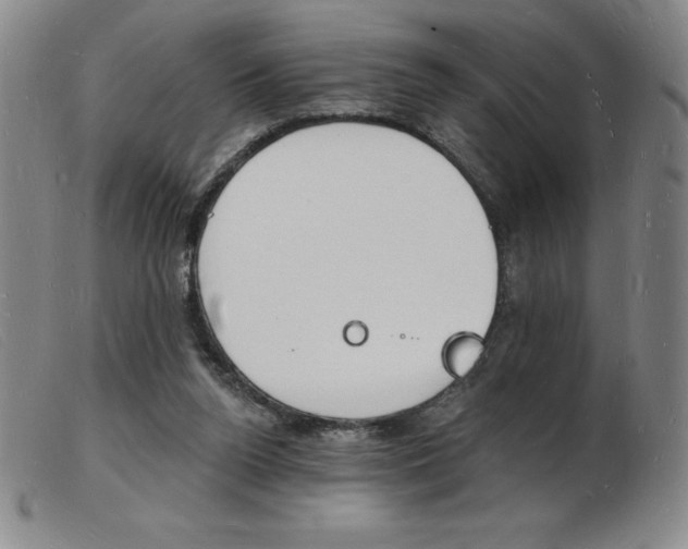 X0000103970160200809191407