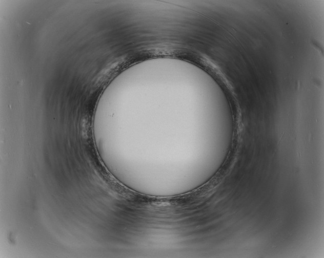 X0000103970161200809191407